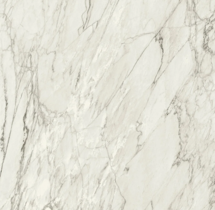 Mej Polish Porcelain Tile in Fort White