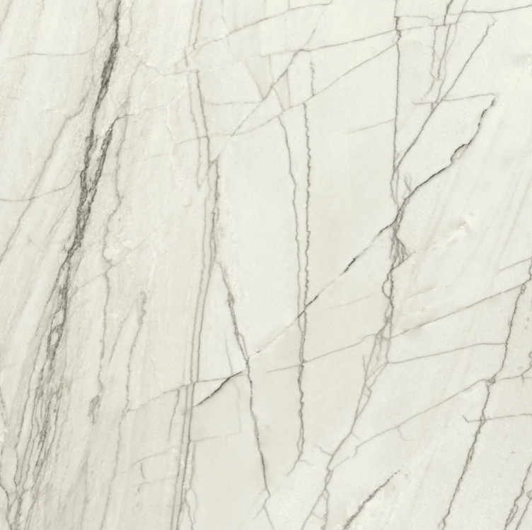 Mej Polish Porcelain Tile in Fort White