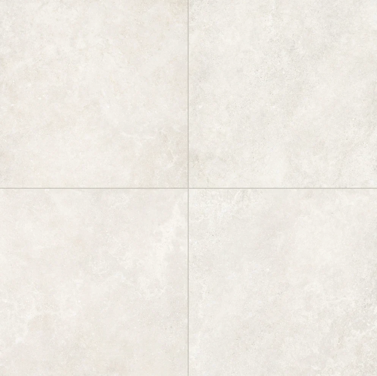 Tamed Matte Porcelain Tile in Wonder White