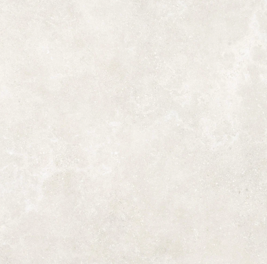 Tamed Matte Porcelain Tile in Wonder White