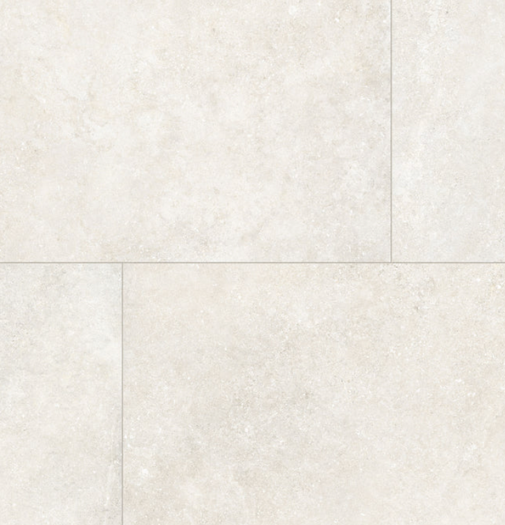 Tamed Matte Porcelain Tile in Wonder White