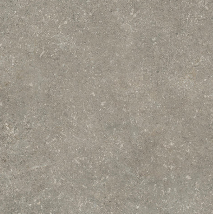 Tamed Matte Porcelain Tile in Wonder Ash