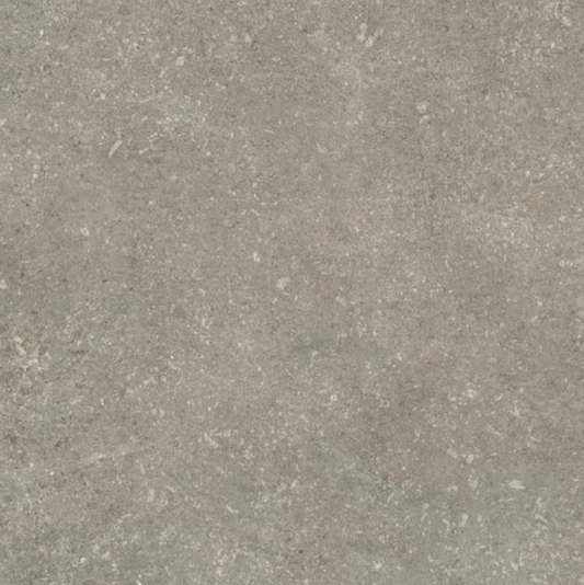 Tamed Matte Porcelain Tile in Wonder Ash