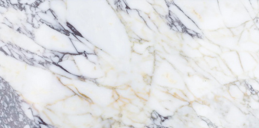 Viola Calacatta Honed 12" x 24" x 3/8" Field Tile