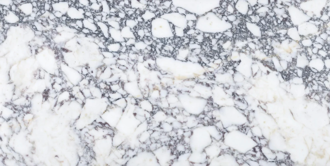 Viola Calacatta Honed 12" x 24" x 3/8" Field Tile