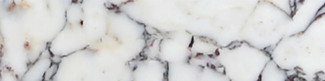 Viola Calacatta Honed 3'' x 12'' x 3/8'' Field Tile