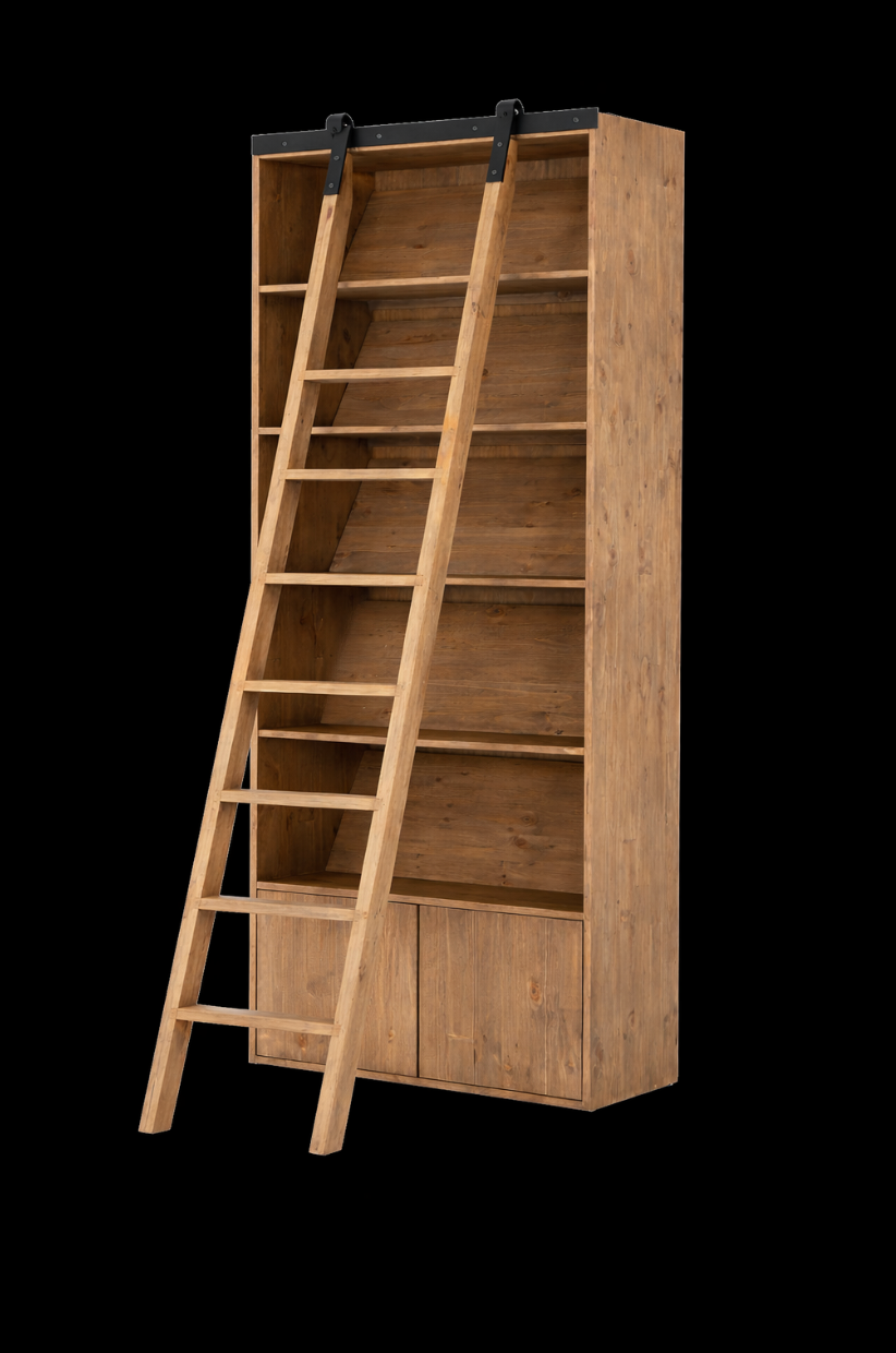 Bane Bookshelf