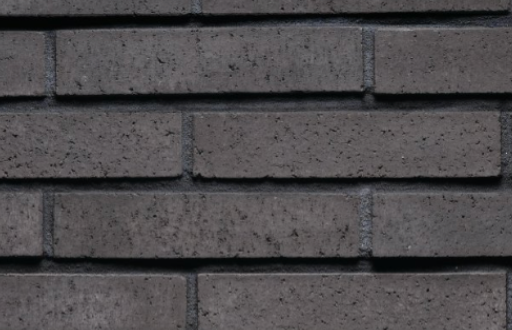 Tenley Brick