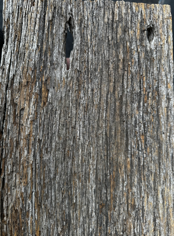 Reclaimed Wood