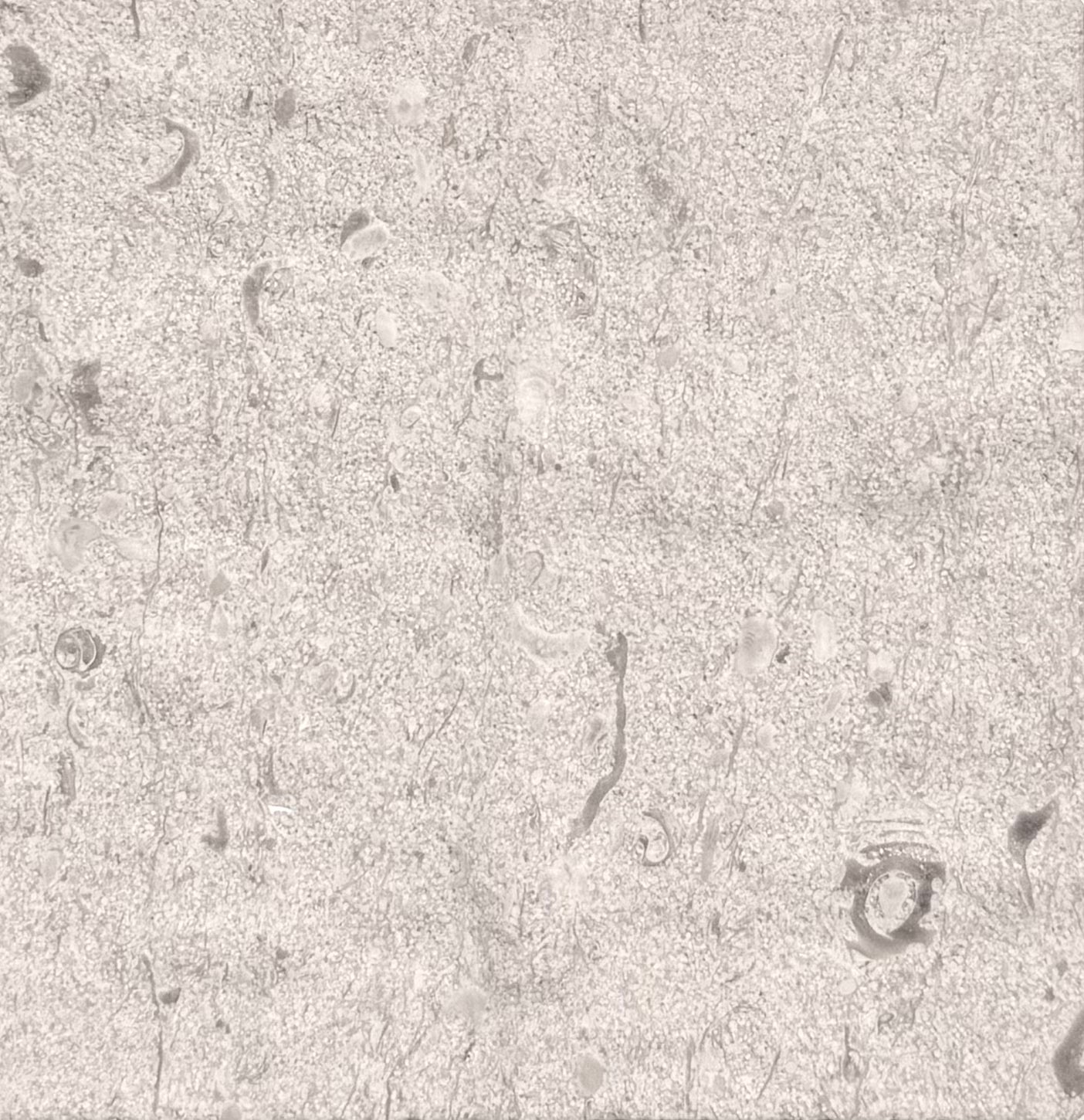 Rattan Limestone Panel