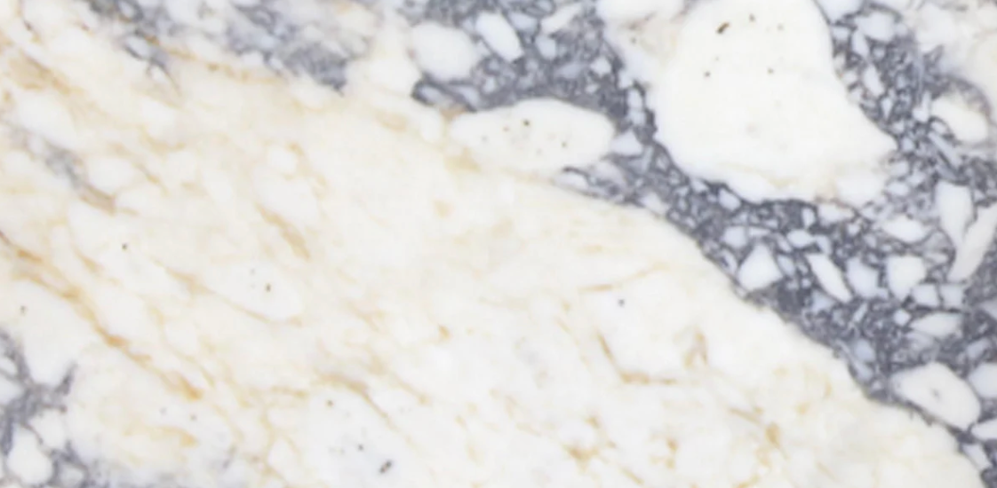 Viola Calacatta Honed 12" x 24" x 3/8" Field Tile