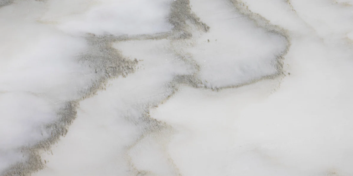 Cremo Calacatta Honed 12" x 24" x 3/8" Field Tile