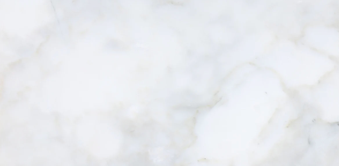 Calacatta Vida Honed 12'' x 24''