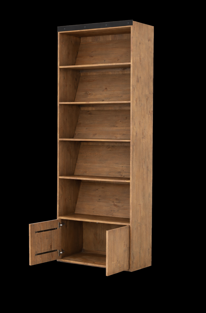 Bane Bookshelf