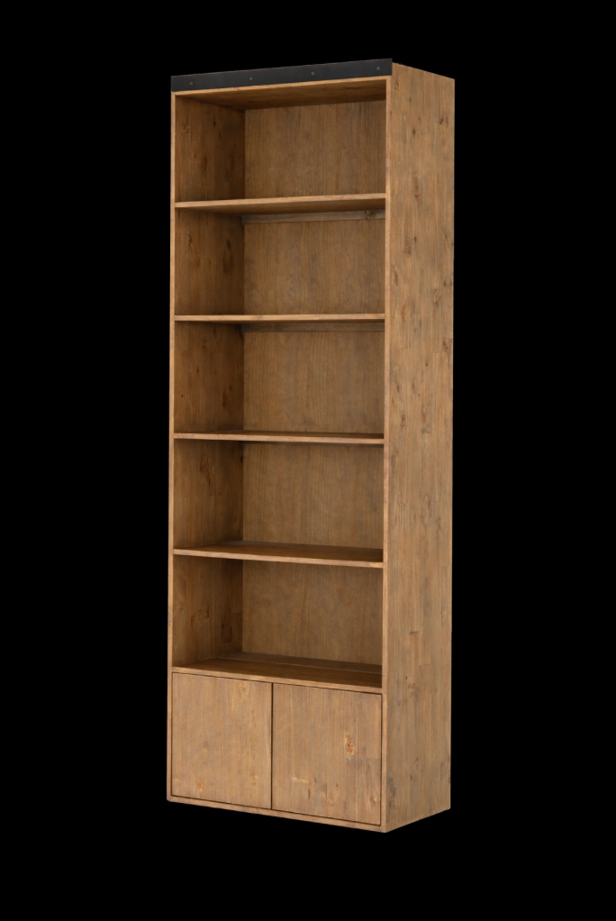 Bane Bookshelf