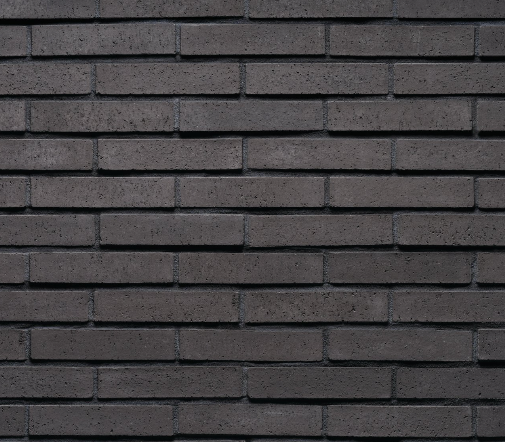 Tenley Brick