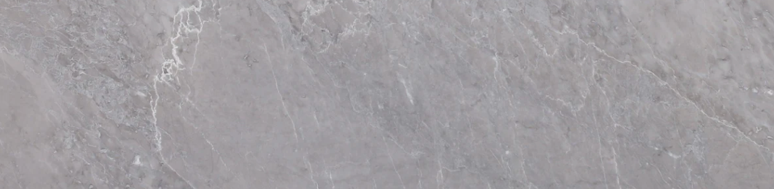 Earth Grey Honed 3''x12''