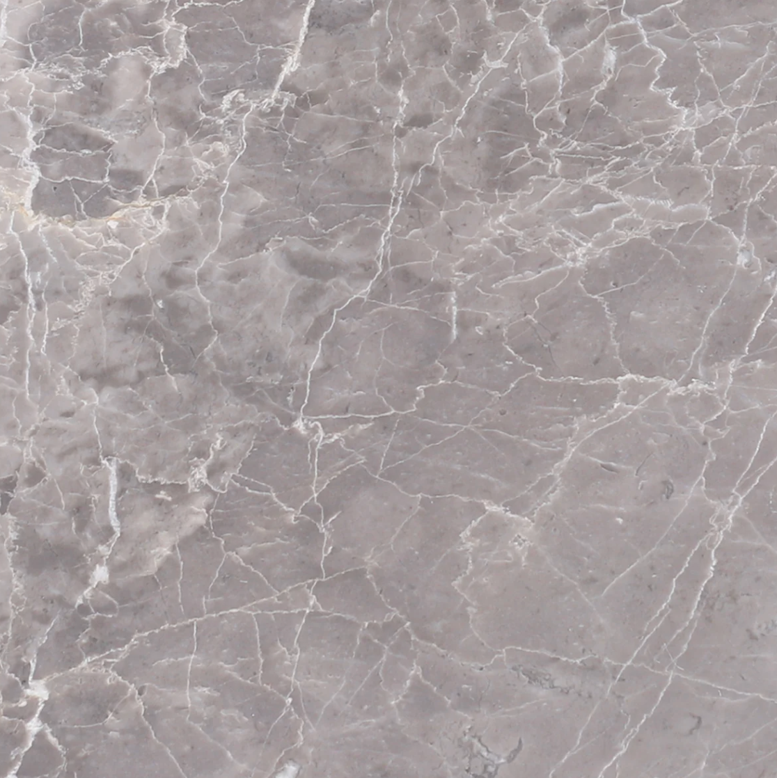 Earth Grey Honed 12'' x 12''