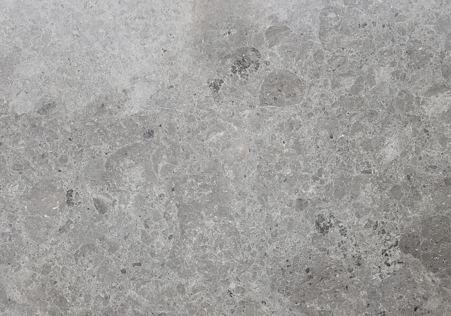 Baltic Gray Honed Marble